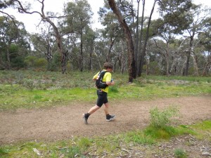 into Ironbark Basin